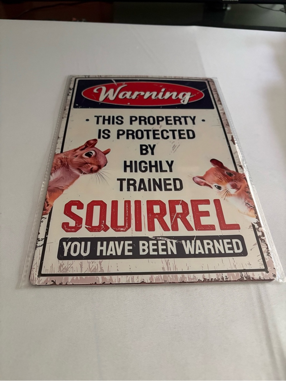Squirrel Warning Sign - Red and Cream Home Accent
